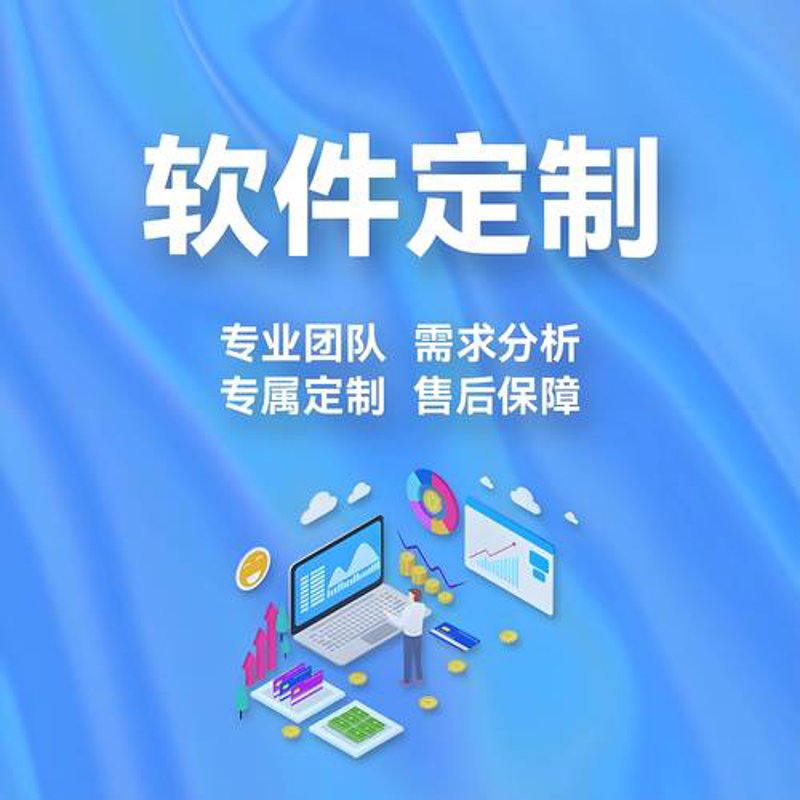 软件外包服务